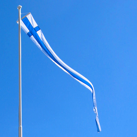 Siniristiviiri